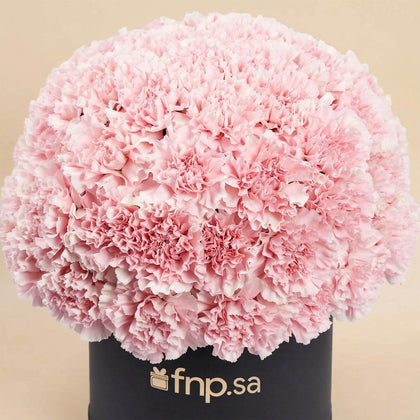 بوكس 50 وردة قرنفل زهرية فاتنة