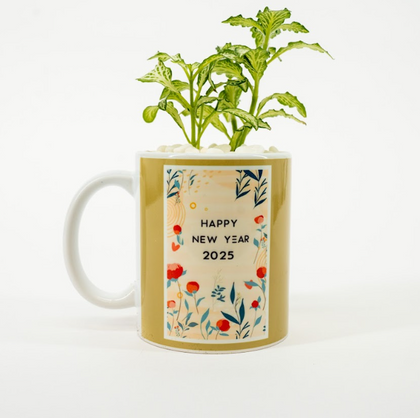 New Year Gifts | Nerve Plant Mug