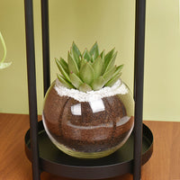 ستاند نباتات داخلية | بوتس واشفيريا